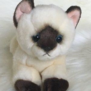 ♥️AURORA Miyoni♥️ Siamese Kitty🐱